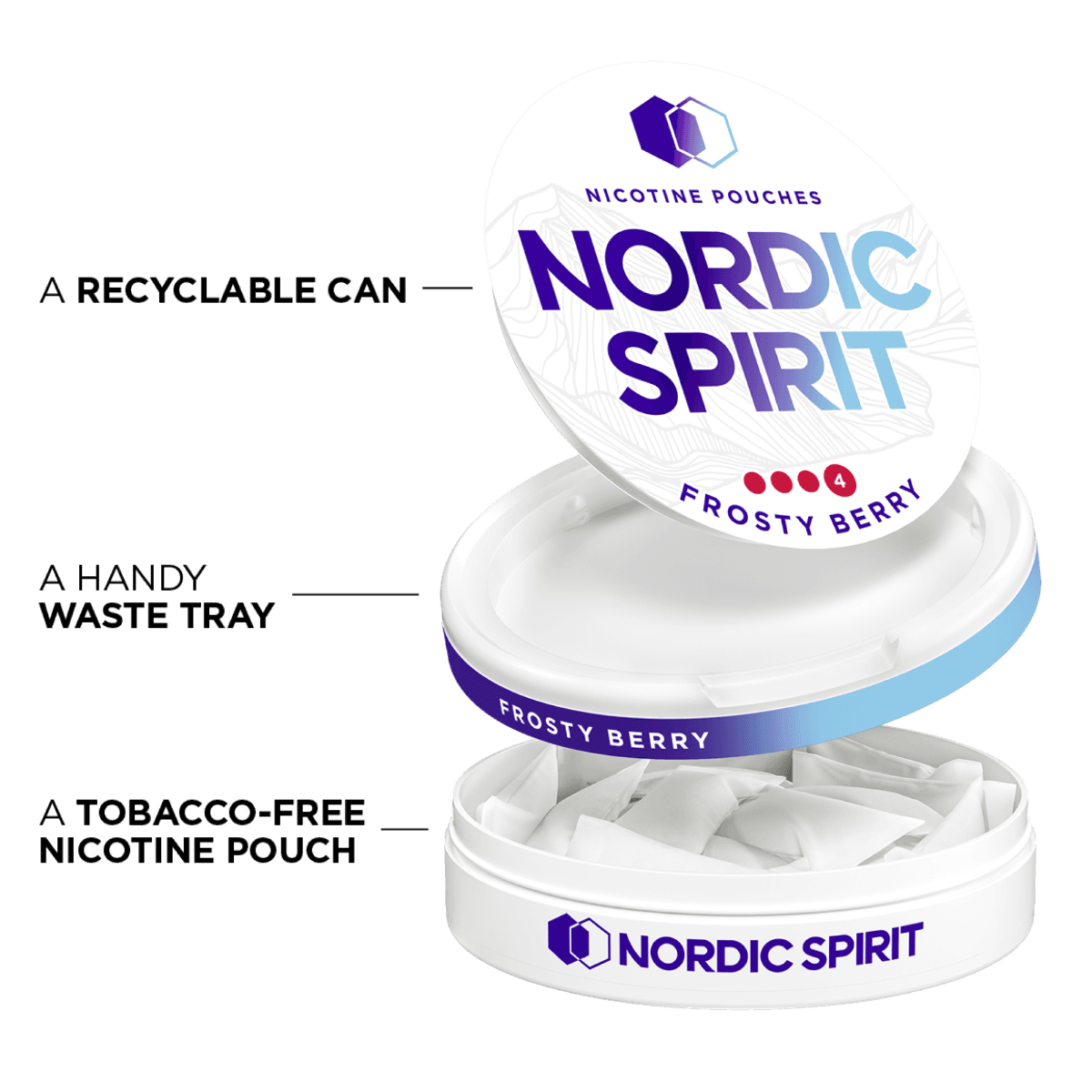 Nordic Spirit Frosty Berry - Boîte recyclable