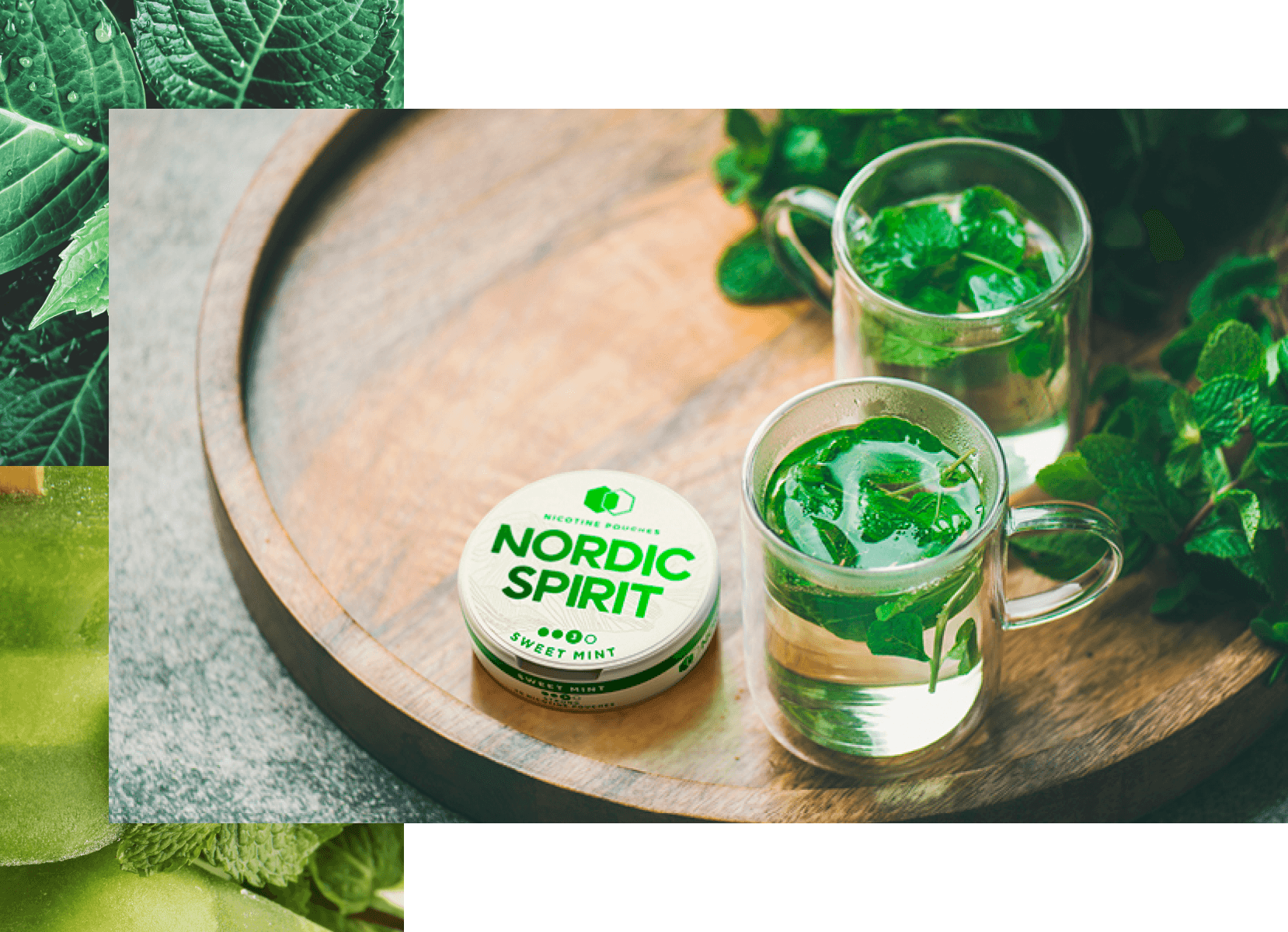 Sweet Mint: Experience mint balanced with sweet notes for a totally fresh experience